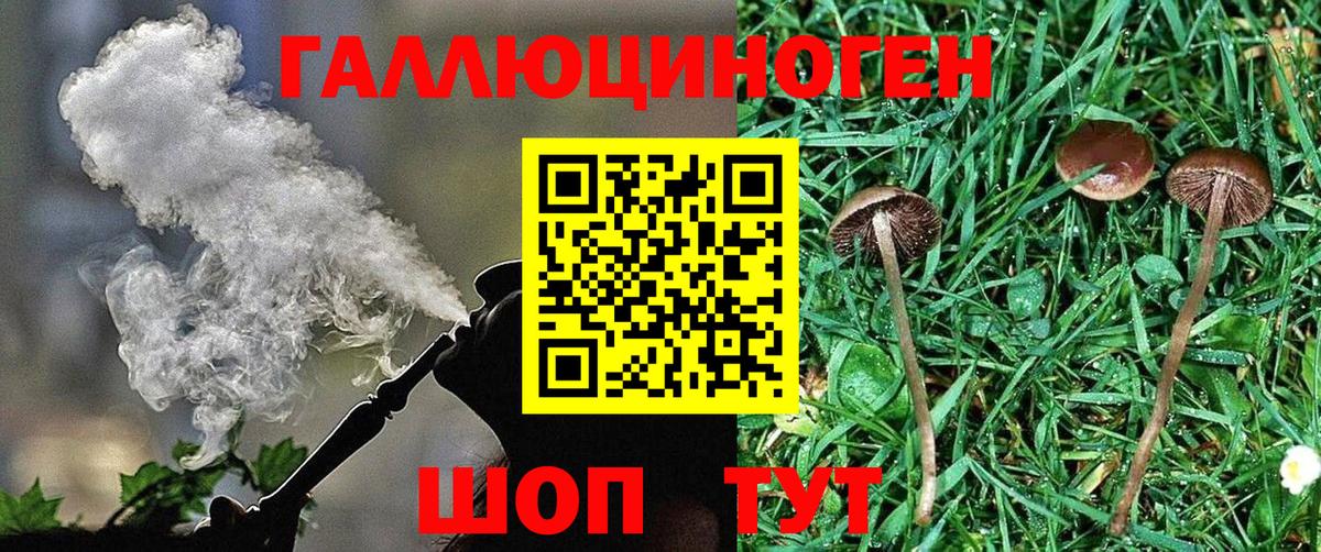 Псилоцибиновые грибы Cubensis  Вход с VPN  хочу наркоту  Новый Уренгой  Галлюциногенные грибы Magic Shrooms 